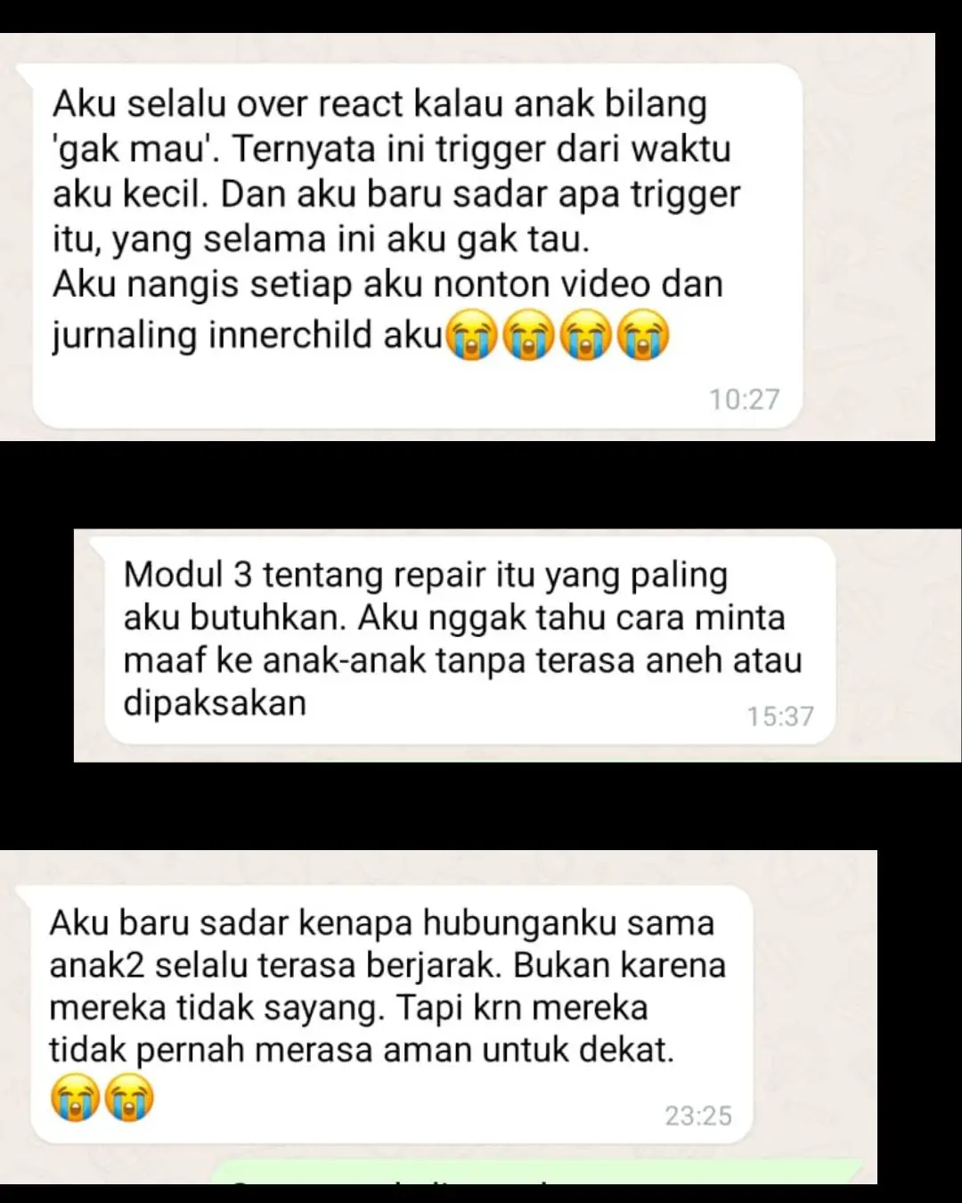 Pesan peserta PDPA tentang trigger dan repair
